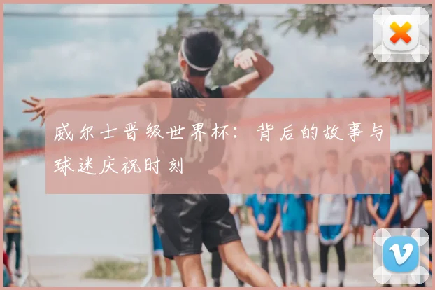 威尔士晋级世界杯：背后的故事与球迷庆祝时刻