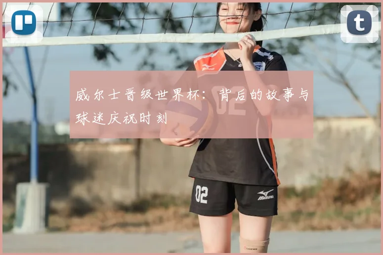 威尔士晋级世界杯：背后的故事与球迷庆祝时刻