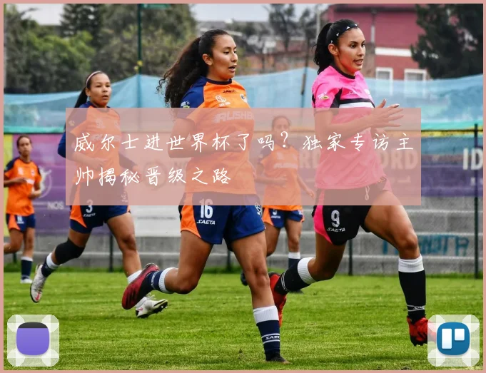 威尔士进世界杯了吗？独家专访主帅揭秘晋级之路